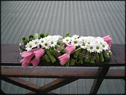 www.floristic.ru - . -  