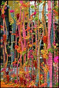 www.floristic.ru - .   
