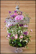 www.floristic.ru - .  