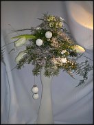 www.floristic.ru - .  