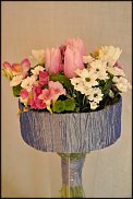 www.floristic.ru - . -  