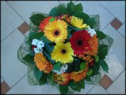 www.floristic.ru - .  