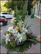 www.floristic.ru - .  