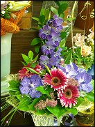 www.floristic.ru - .  