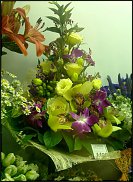 www.floristic.ru - .  