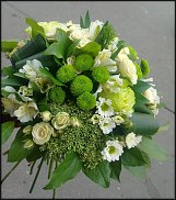 www.floristic.ru - .  