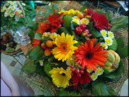 www.floristic.ru - .  