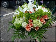 www.floristic.ru - .  