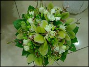 www.floristic.ru - .  