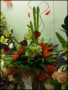 www.floristic.ru - .  