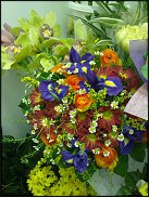 www.floristic.ru - .  