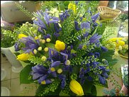 www.floristic.ru - .  