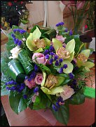 www.floristic.ru - .  