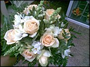 www.floristic.ru - .  