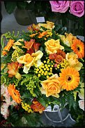 www.floristic.ru - .  