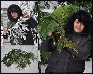 www.floristic.ru - .  " "