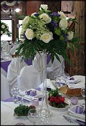 www.floristic.ru - .    ...   - ?