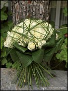 www.floristic.ru - .      