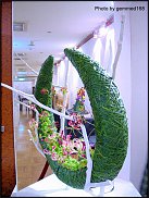 www.floristic.ru - Флористика. виды трансформации листьев и их использование