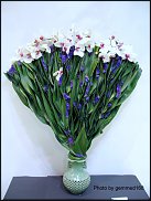 www.floristic.ru - .      