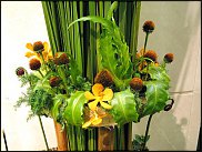 www.floristic.ru - .      