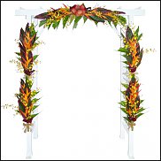 www.floristic.ru - .      