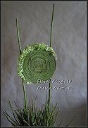 www.floristic.ru - .      