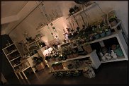 www.floristic.ru - Флористика. Экспонировать витрину и товар в ЦВЕТОЧНОМ магазине-это как?