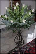 www.floristic.ru - .  