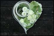 www.floristic.ru - .   