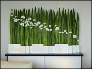 www.floristic.ru - .      