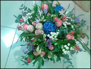 www.floristic.ru - .  