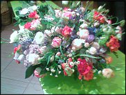 www.floristic.ru - . ,  .