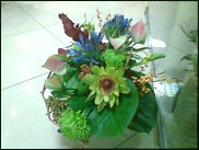 www.floristic.ru - .   