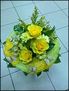 www.floristic.ru - .  