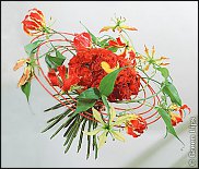 www.floristic.ru - Флористика. Проволока во флористике