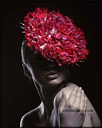 www.floristic.ru - .  /Kristina Ageeva