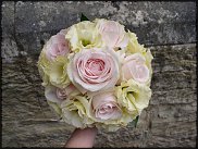 www.floristic.ru - .  (Eustoma)