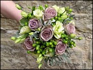 www.floristic.ru - .  (Eustoma)