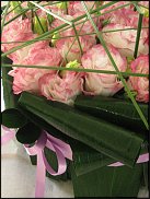 www.floristic.ru - .  (Eustoma)