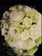 www.floristic.ru - .  (Eustoma)