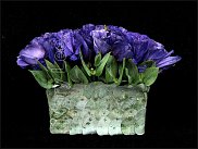 www.floristic.ru - .  (Eustoma)