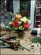 www.floristic.ru - .    !!!