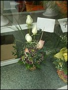 www.floristic.ru - .    !!!