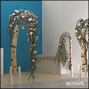 www.floristic.ru - .  