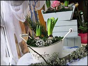 www.floristic.ru - .       - ?