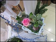 www.floristic.ru - .       - ?