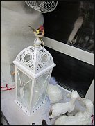www.floristic.ru - Флористика. Экспонировать витрину и товар в ЦВЕТОЧНОМ магазине-это как?