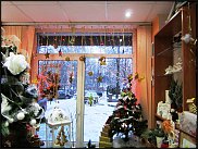 www.floristic.ru - .       - ?