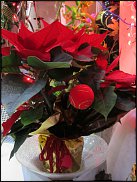 www.floristic.ru - Флористика. Экспонировать витрину и товар в ЦВЕТОЧНОМ магазине-это как?